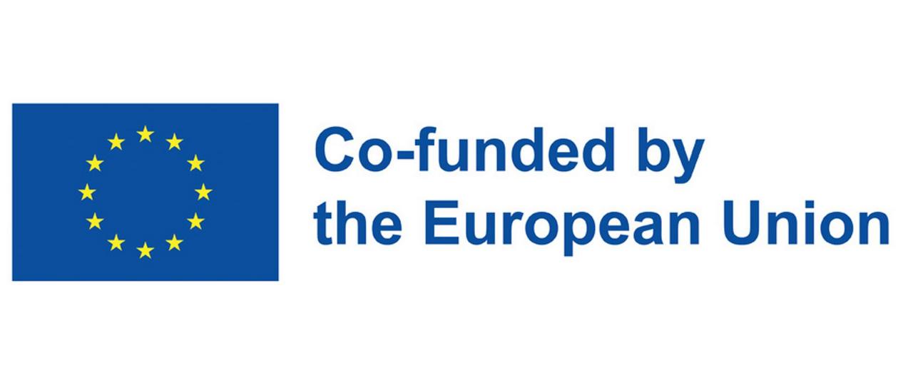 Co-funded by the European Union