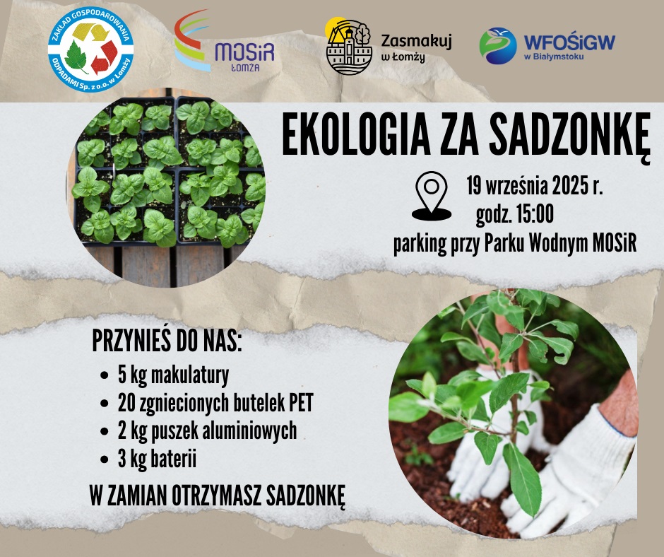 Ekologia za sadzonkę - plakat