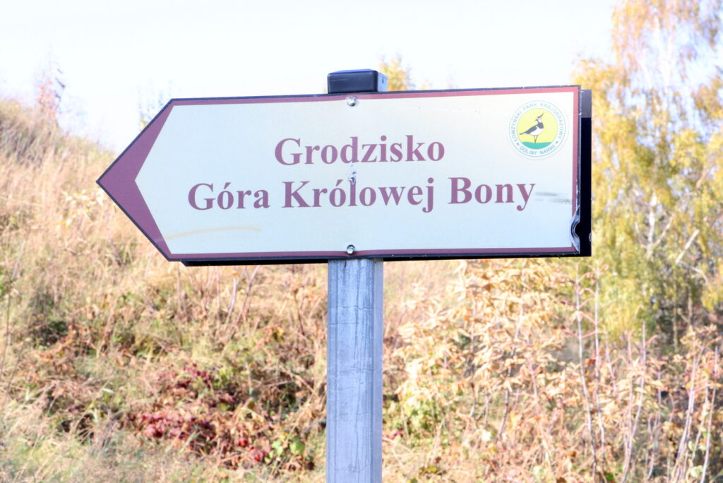 archeolodzy konferencja prasowa