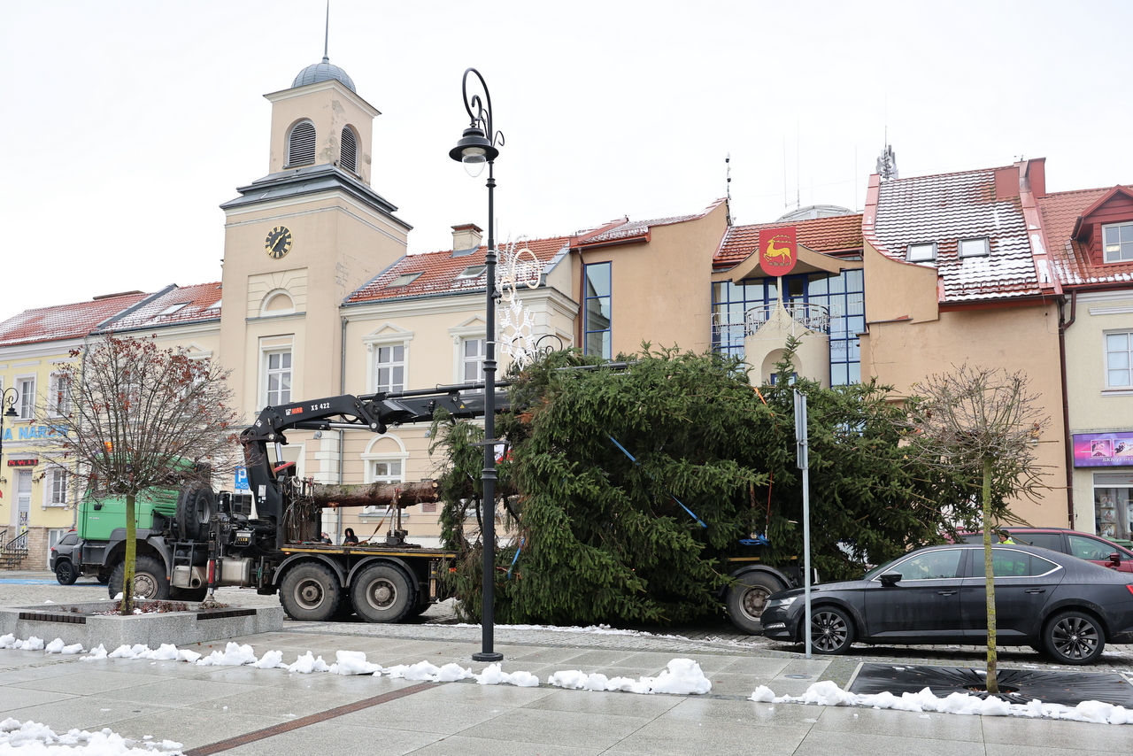 transport świątecznej choinki na Stary Rynek