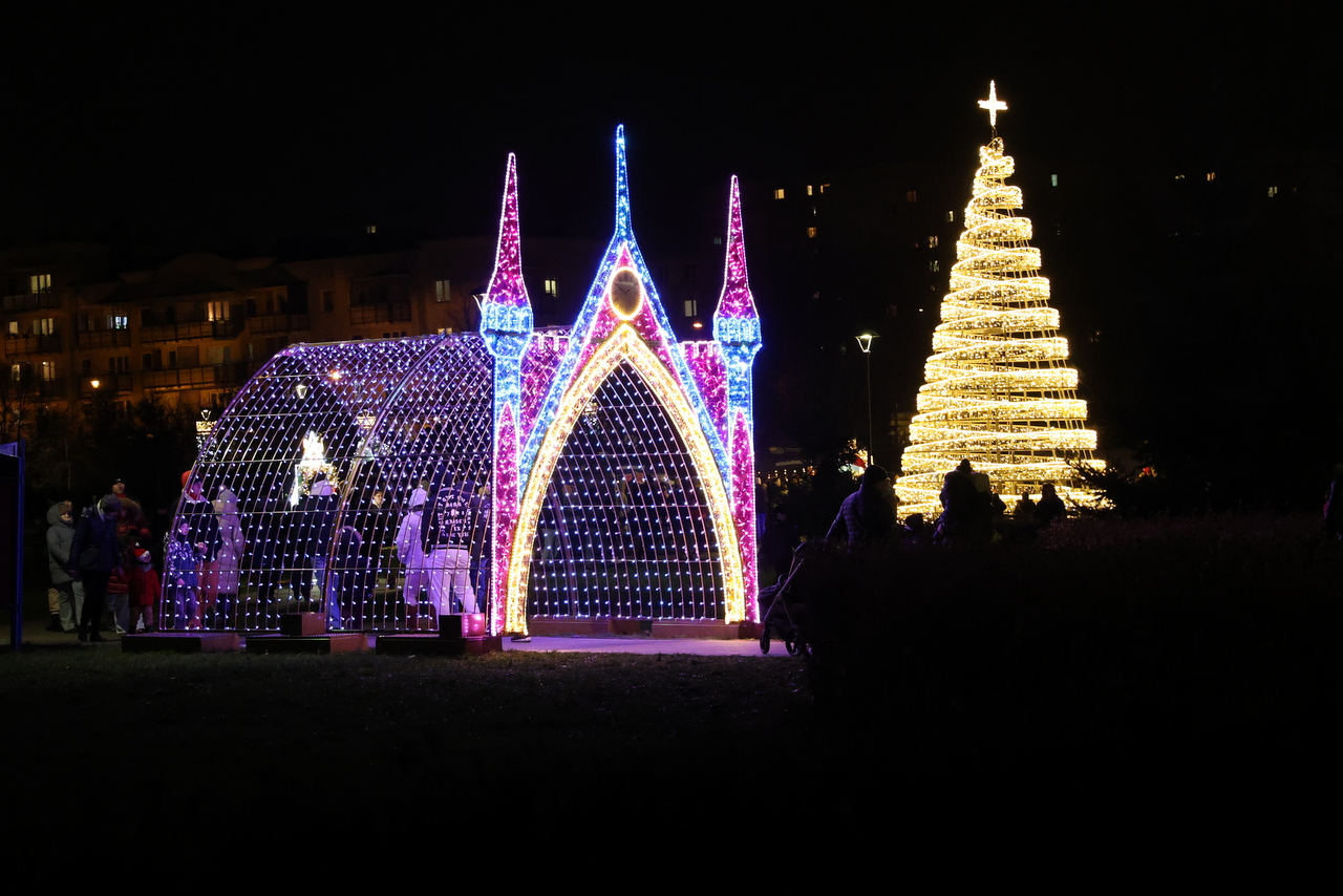 zdjęcie park iluminacje